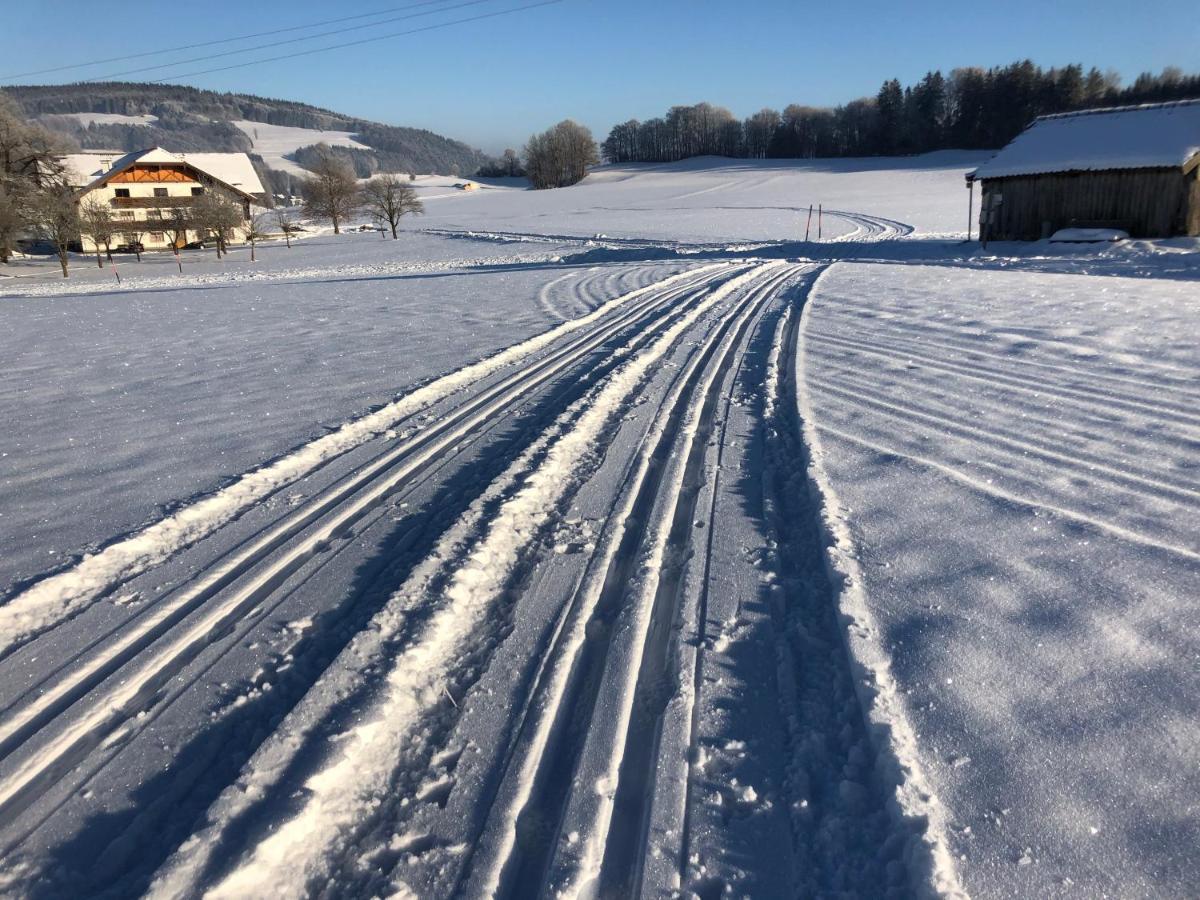 Biohof-Feichtinger Διαμέρισμα Zell am Moos Εξωτερικό φωτογραφία