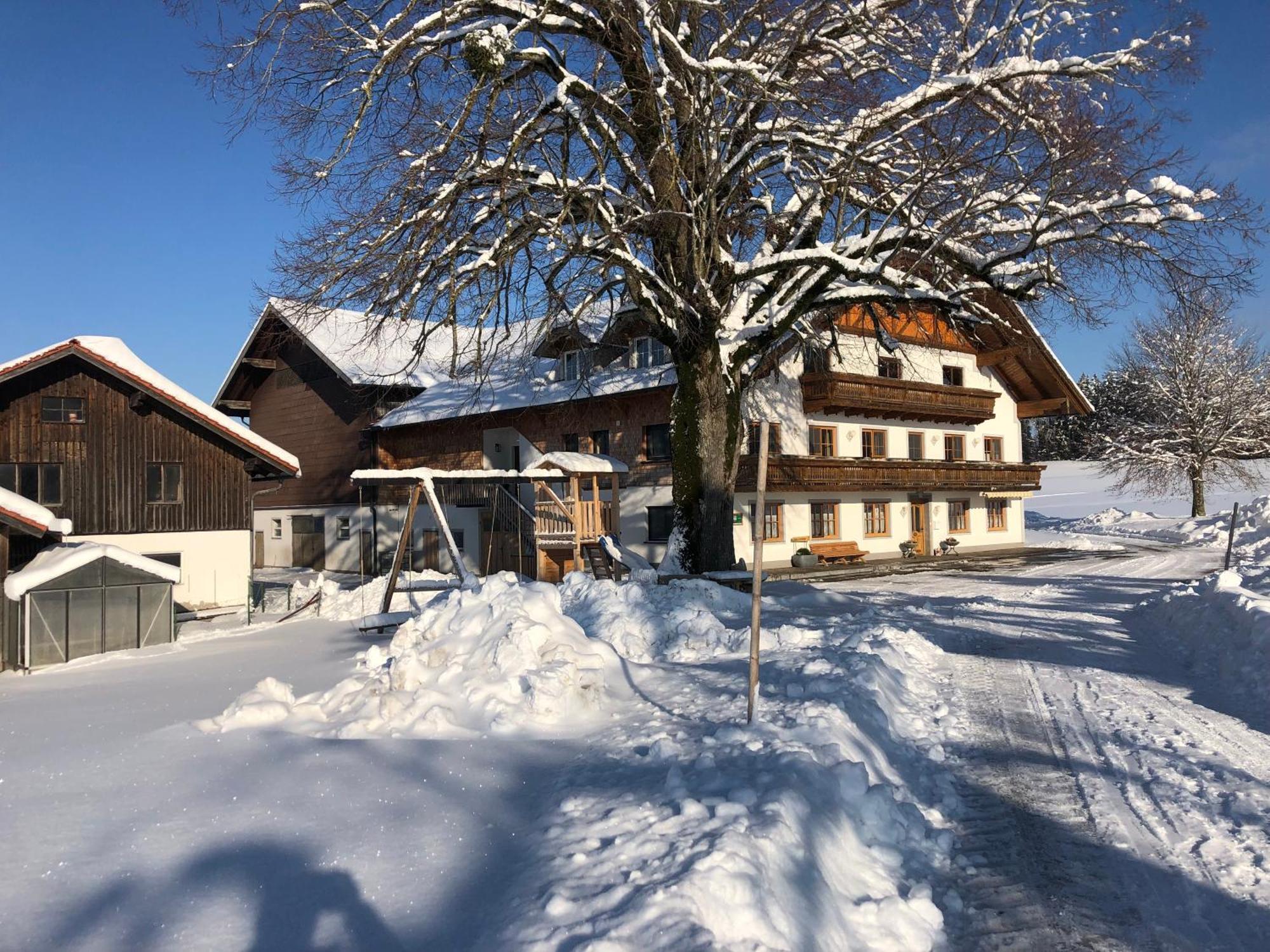 Biohof-Feichtinger Διαμέρισμα Zell am Moos Εξωτερικό φωτογραφία