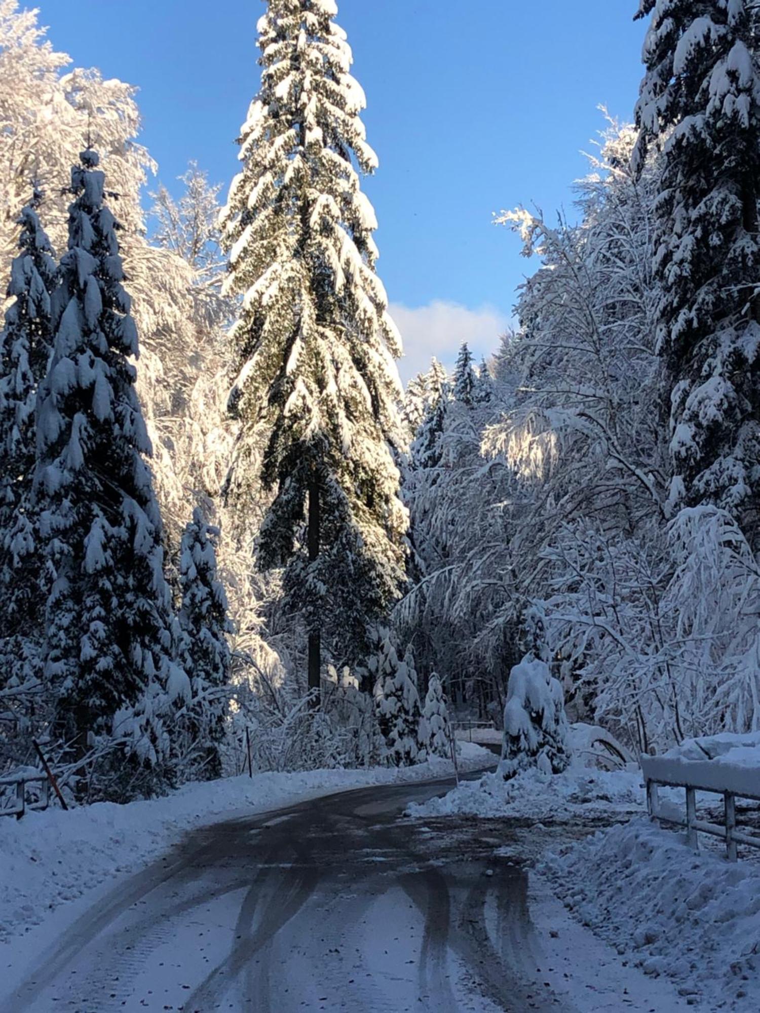 Biohof-Feichtinger Διαμέρισμα Zell am Moos Εξωτερικό φωτογραφία